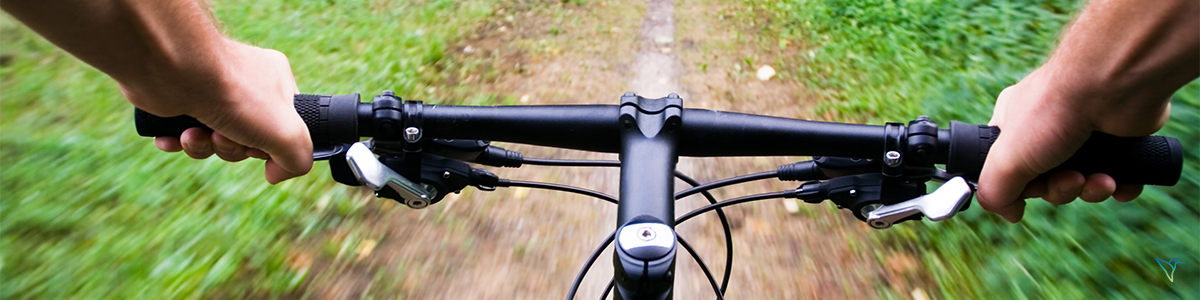 Mit dem Fahrrad in der Natur unterwegs - koffer24