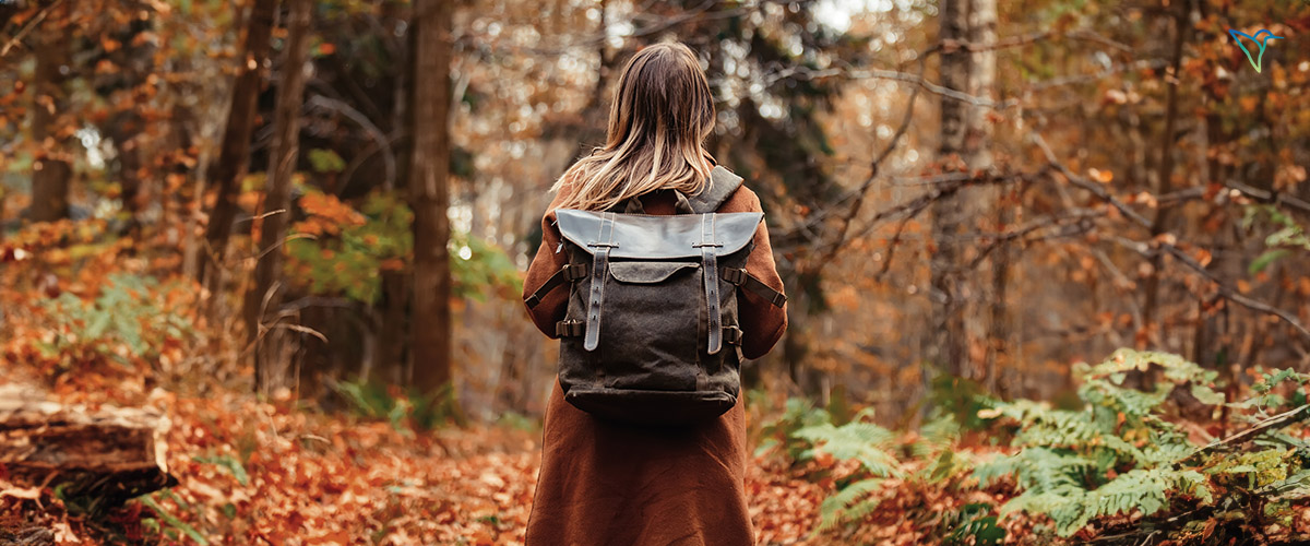 Der Herbst, der Klimawandel und die Suche nach Nachhaltigkeit